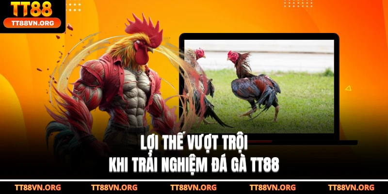 Lợi thế vượt trội khi trải nghiệm đá gà TT88